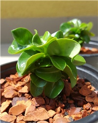 f1dda343-20170709_130619-1 – kopija.jpg